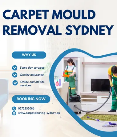 Carpet Mould Removal Sydney